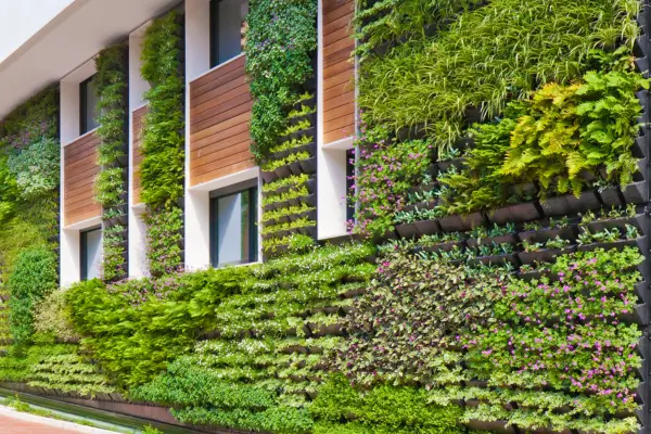 Conectando-se com a natureza: Construindo estruturas para jardins verticais