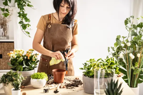 Guia de limpeza para jardins verticais: mantenha a estética e saúde das plantas