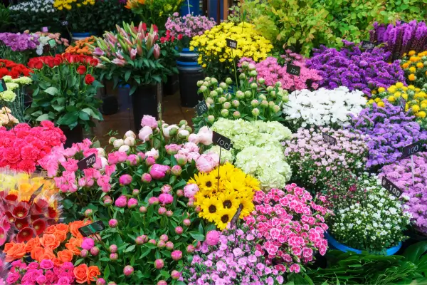 7 Combinações de Cores em Jardins Verticais